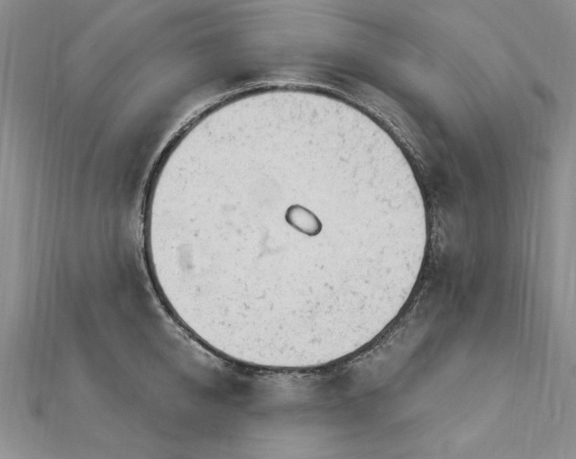 X0000112780950200908201526