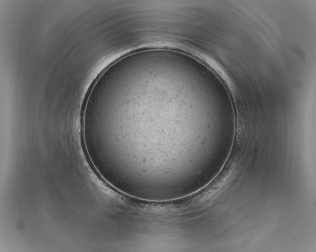 X0000112780951200908201526