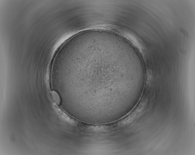 X0000112780952200908201526