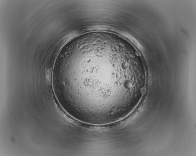 X0000112780953200908201526