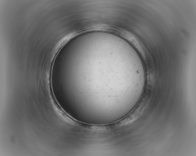 X0000112780954200908201526