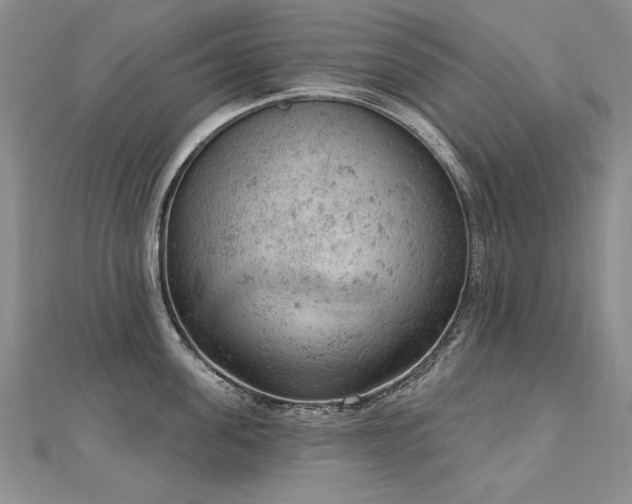 X0000112780955200908201526