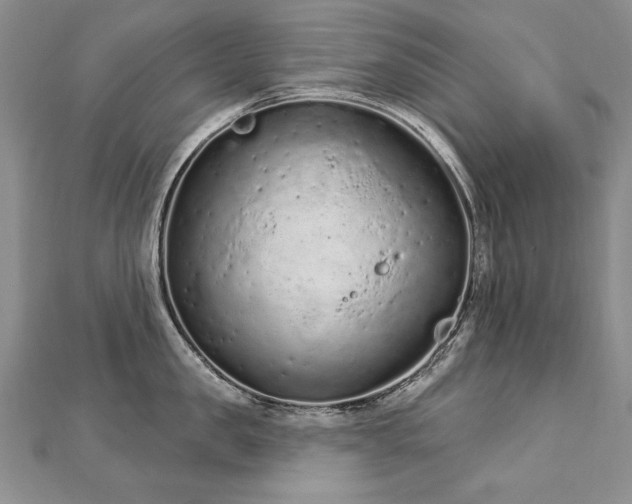 X0000112780957200908201526