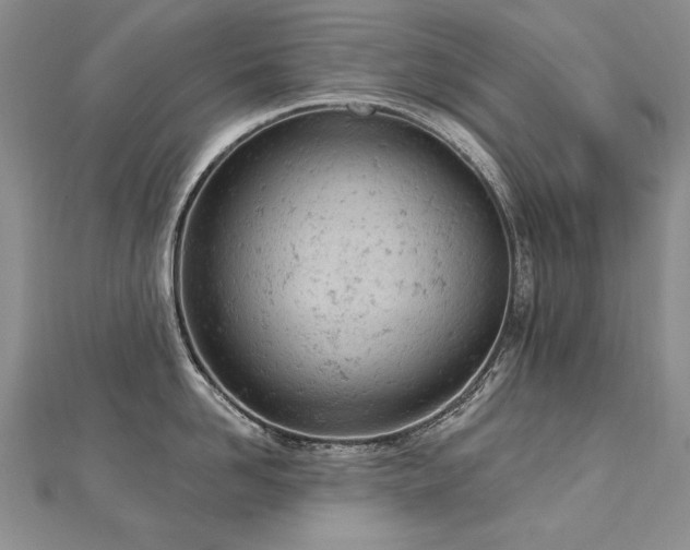 X0000112780958200908201526