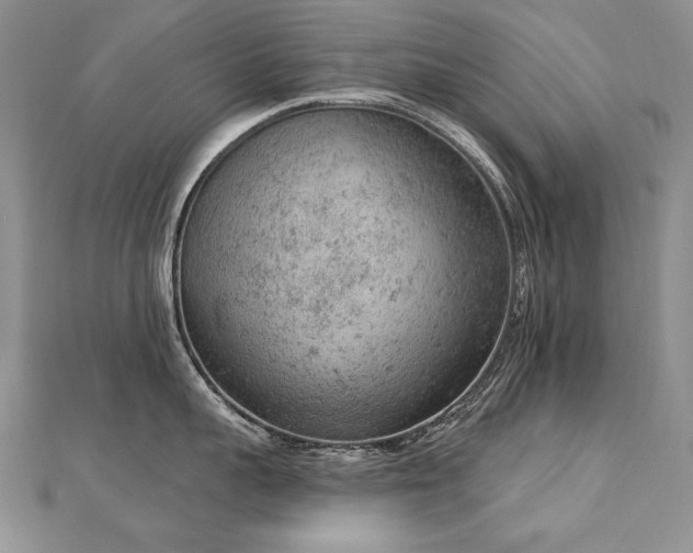 X0000112780959200908201526