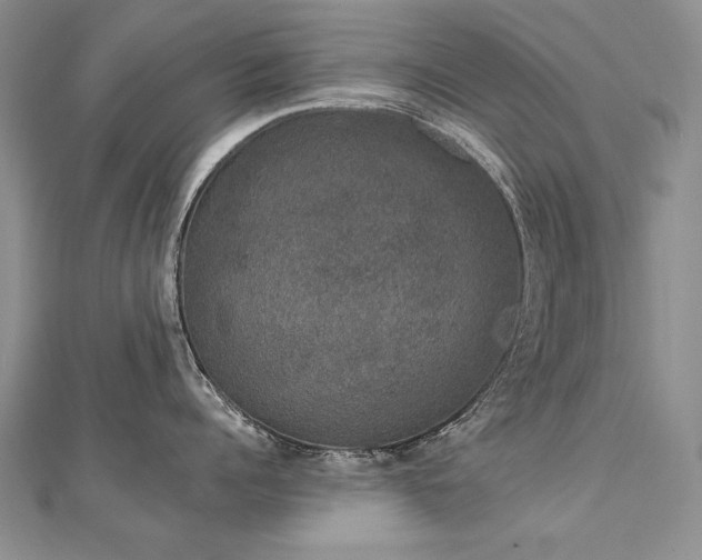 X0000112780960200908201526