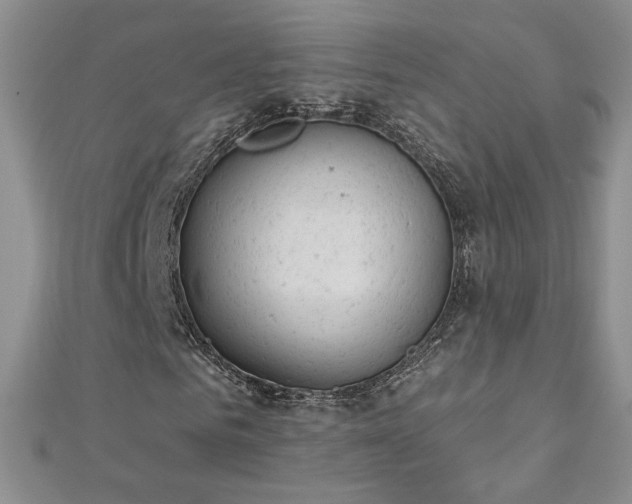 X0000112780961200908201525