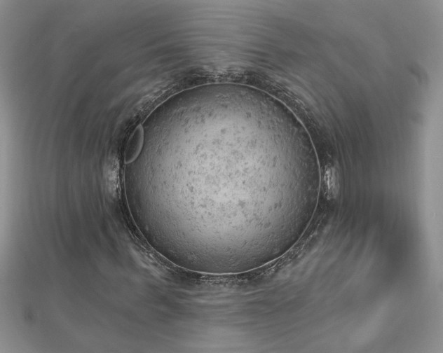 X0000112780963200908201525