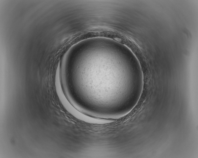 X0000112780965200908201525