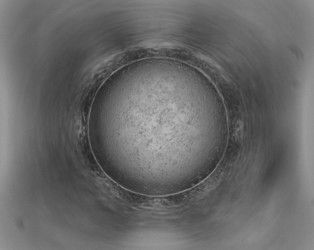 X0000112780966200908201525