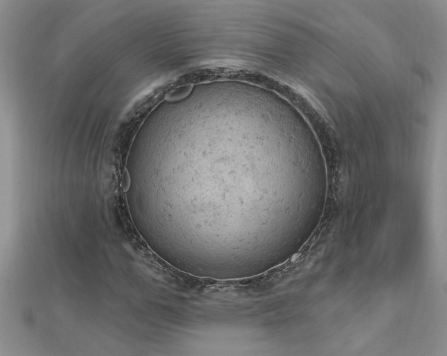 X0000112780967200908201525