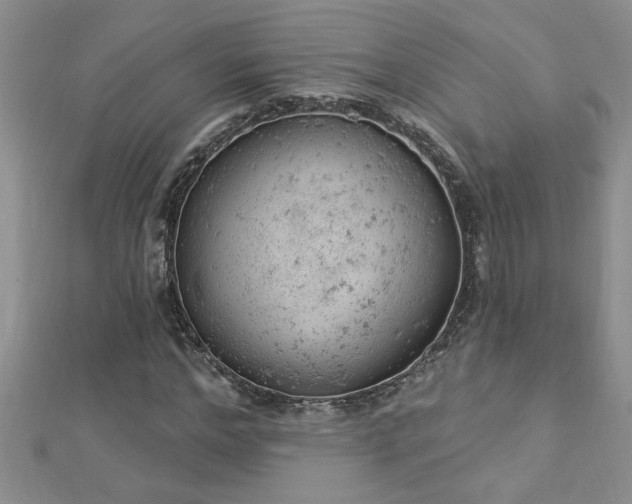 X0000112780968200908201525