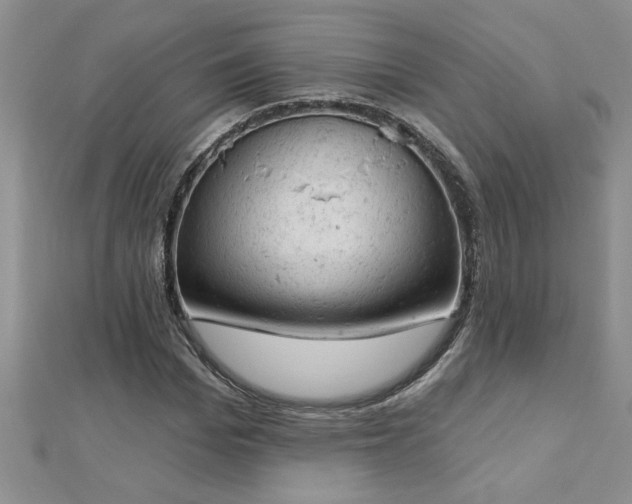 X0000112780969200908201525