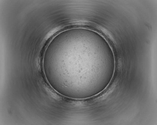 X0000112780970200908201525