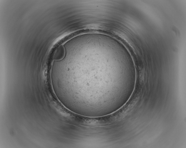 X0000112780971200908201525