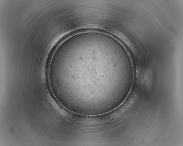 X0000112780972200908201525