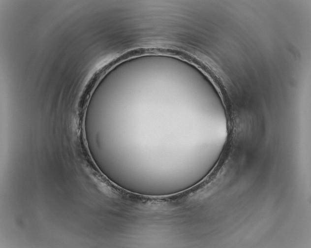 X0000112780974200908201525