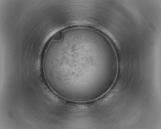 X0000112780975200908201525