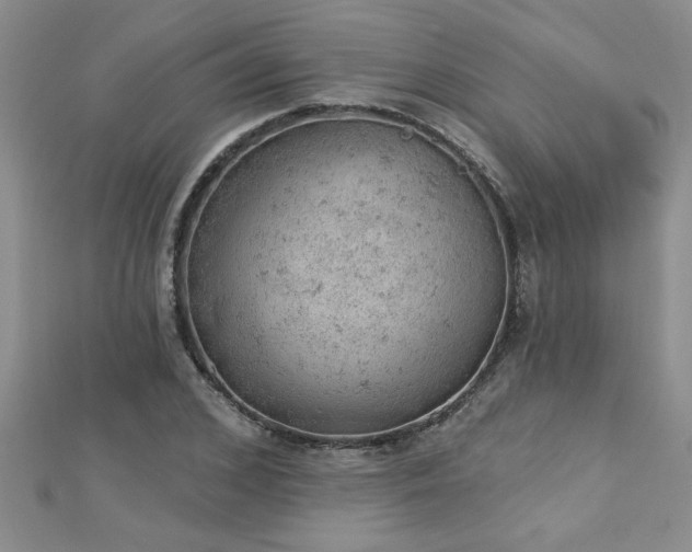 X0000112780976200908201525