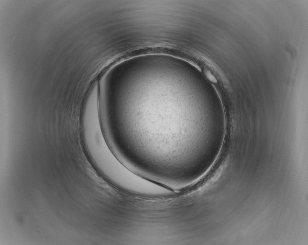 X0000112780977200908201525