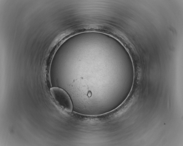 X0000112780978200908201525