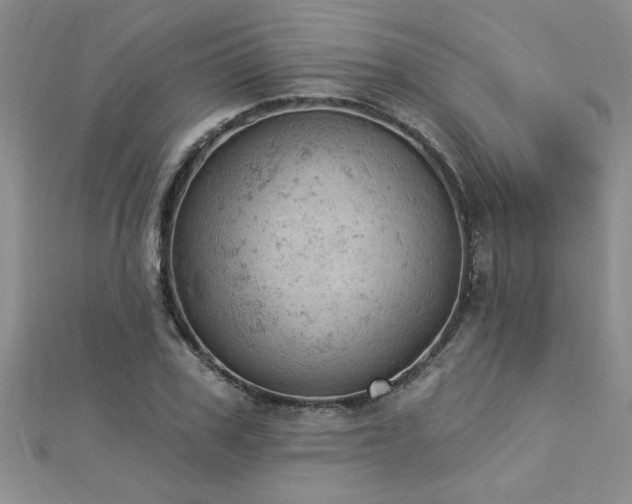 X0000112780979200908201525