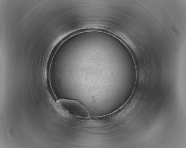 X0000112780980200908201525