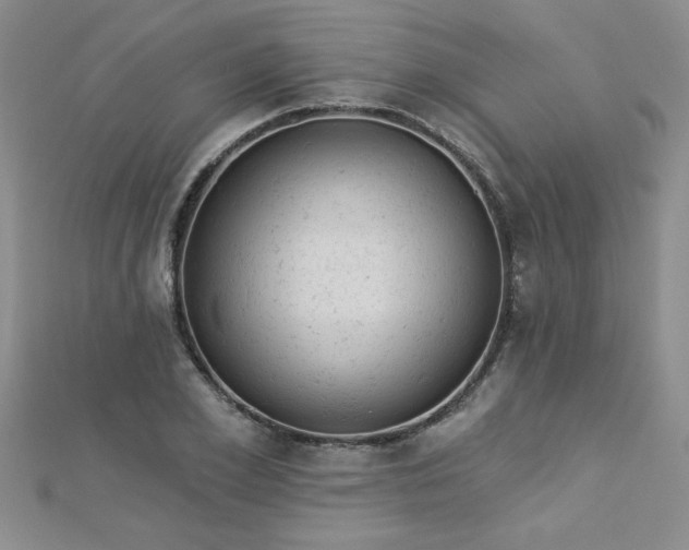 X0000112780981200908201525