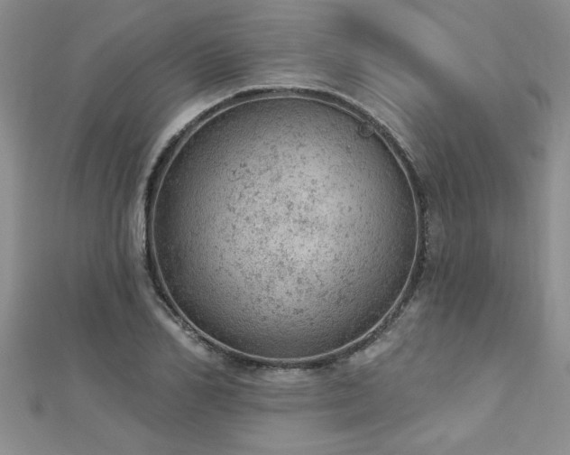 X0000112780982200908201525