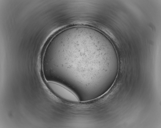 X0000112780984200908201525