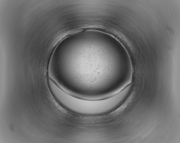 X0000112780985200908201525