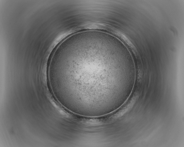 X0000112780986200908201525