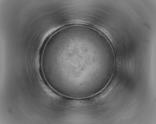 X0000112780987200908201525