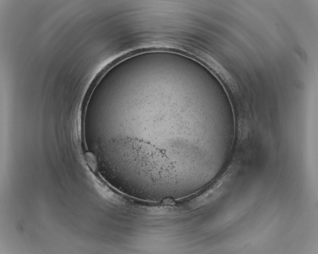 X0000112780988200908201525