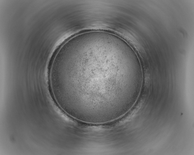 X0000112780990200908201525