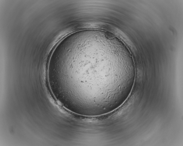 X0000112780994200908201525