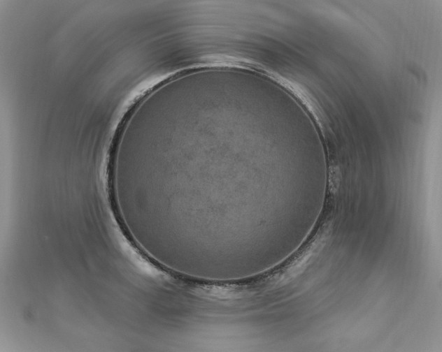 X0000112780995200908201525