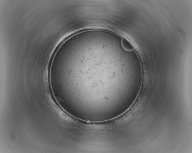 X0000112780996200908201525