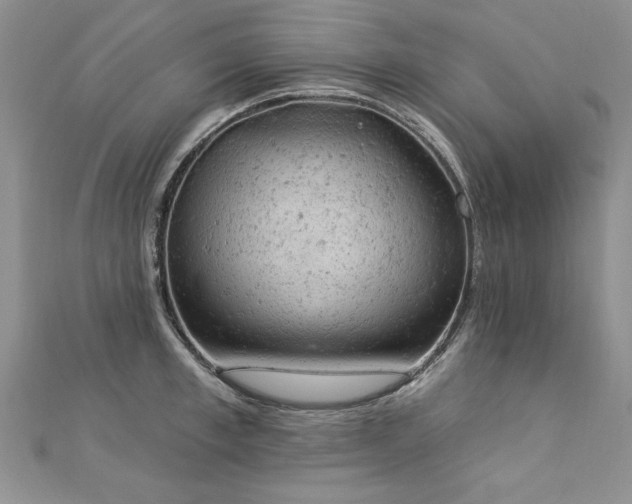 X0000112780997200908201525