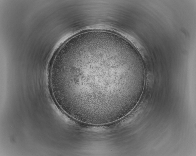 X0000112780998200908201525