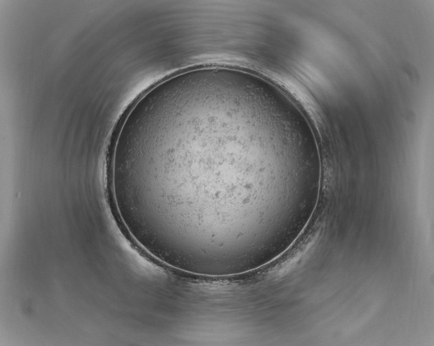 X0000112780999200908201525