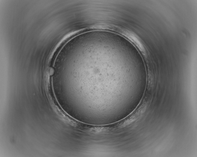 X0000112781000200908201525