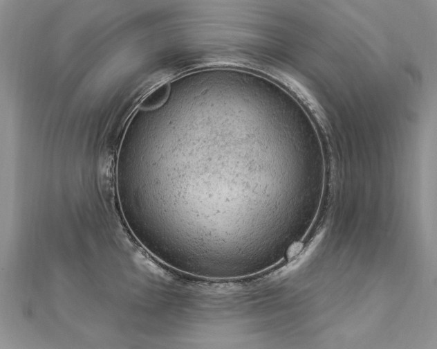 X0000112781001200908201525