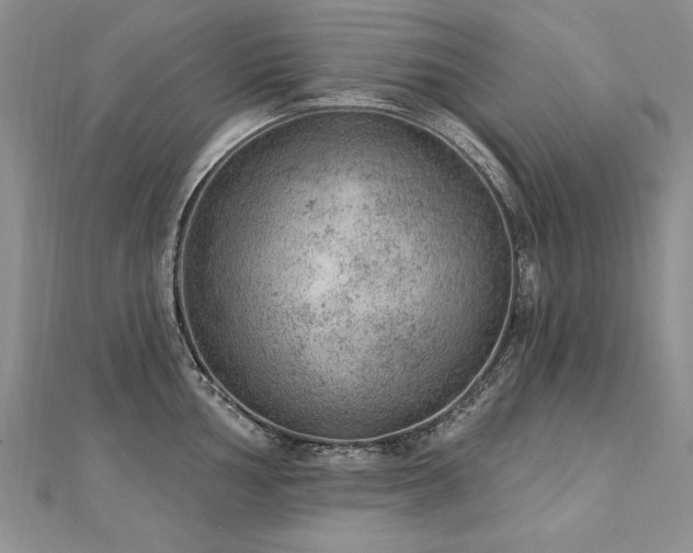 X0000112781002200908201525