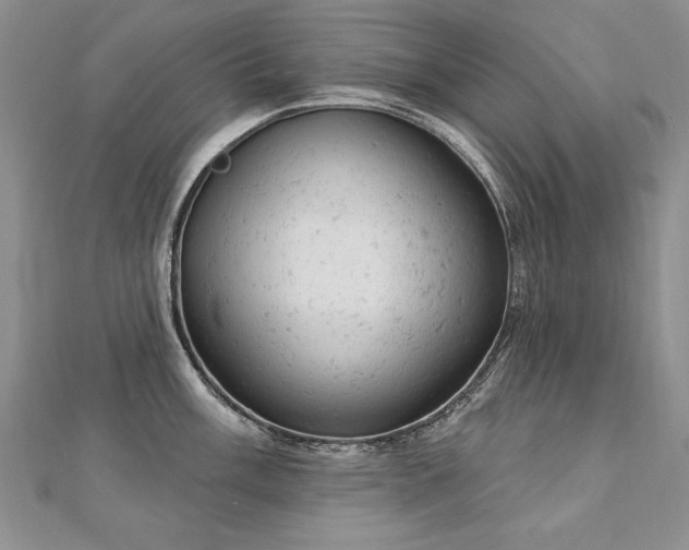 X0000112781003200908201525