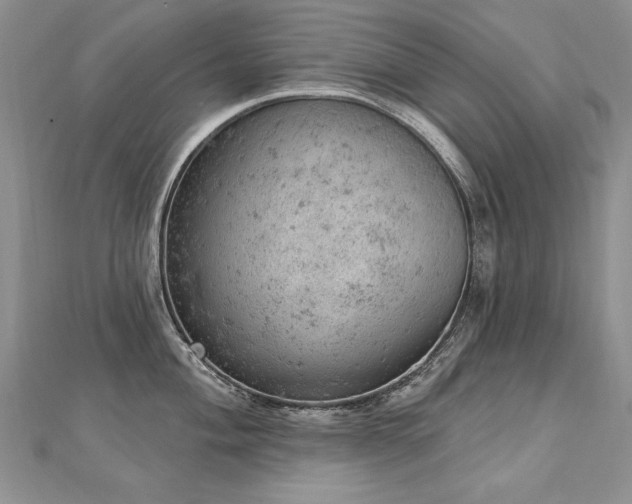 X0000112781004200908201525