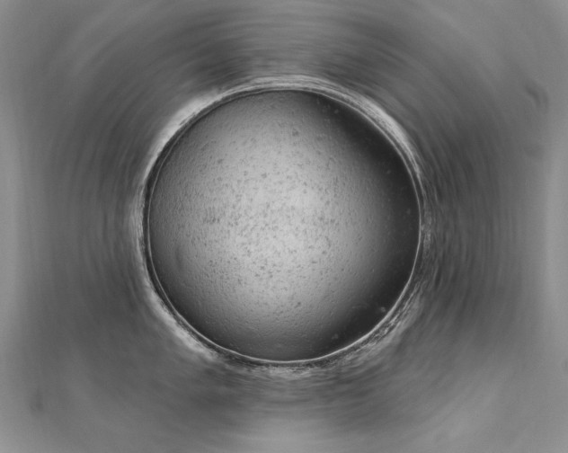 X0000112781005200908201525