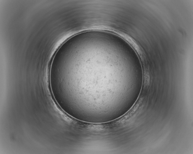 X0000112781006200908201525