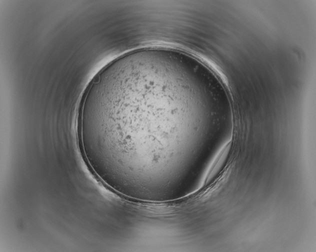 X0000112781007200908201525