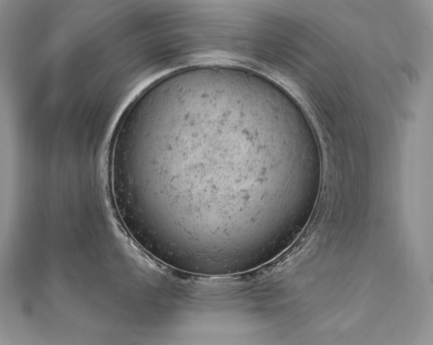 X0000112781008200908201525